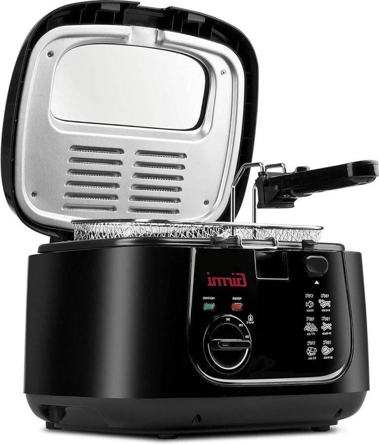 Friteuse 1800 W 25 l anti-aanbaklaag zwart Krachtige FG21-Friteuse