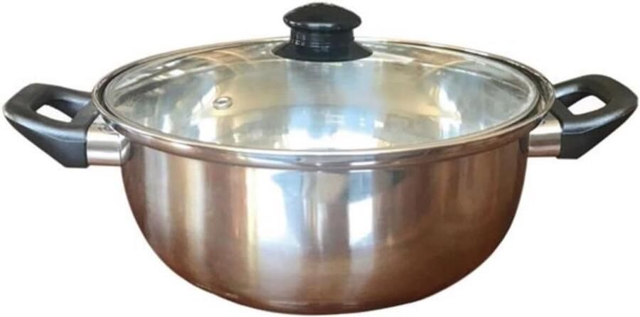 Friteuse met Deksel Koekenpan Lekker Koken Roestvrij Staal 26 cm Zilver