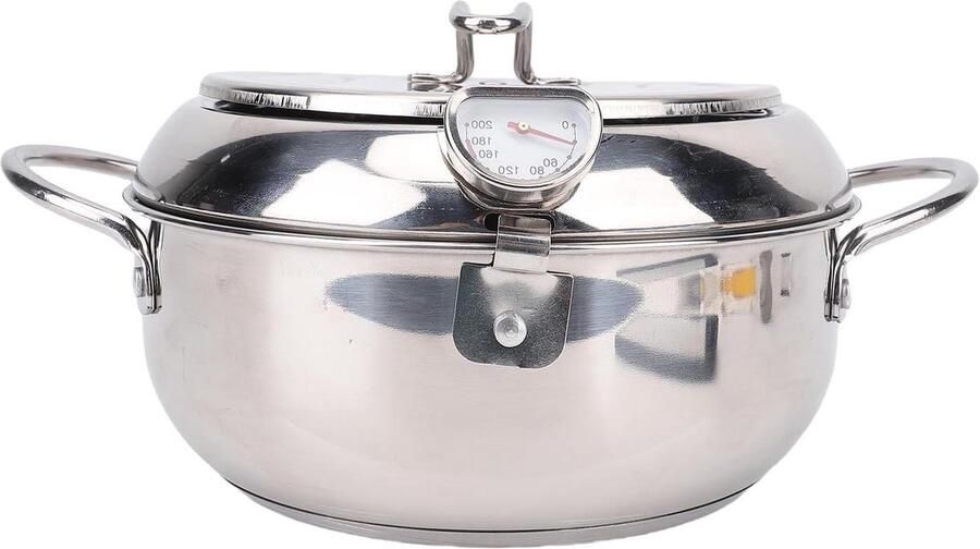 Friteusepan met thermometer Kleine friteuse Thuis frituren Olieafvoer rek 22 liter Zilver