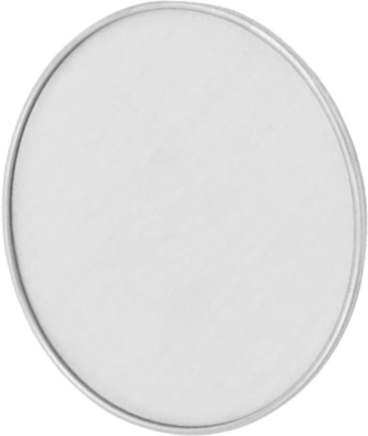 Frituur Spatscherm Oliescherm Vetfilter Schoon Koken Stevig Roestvrij Staal 15cm Diameter Zilverkleurig