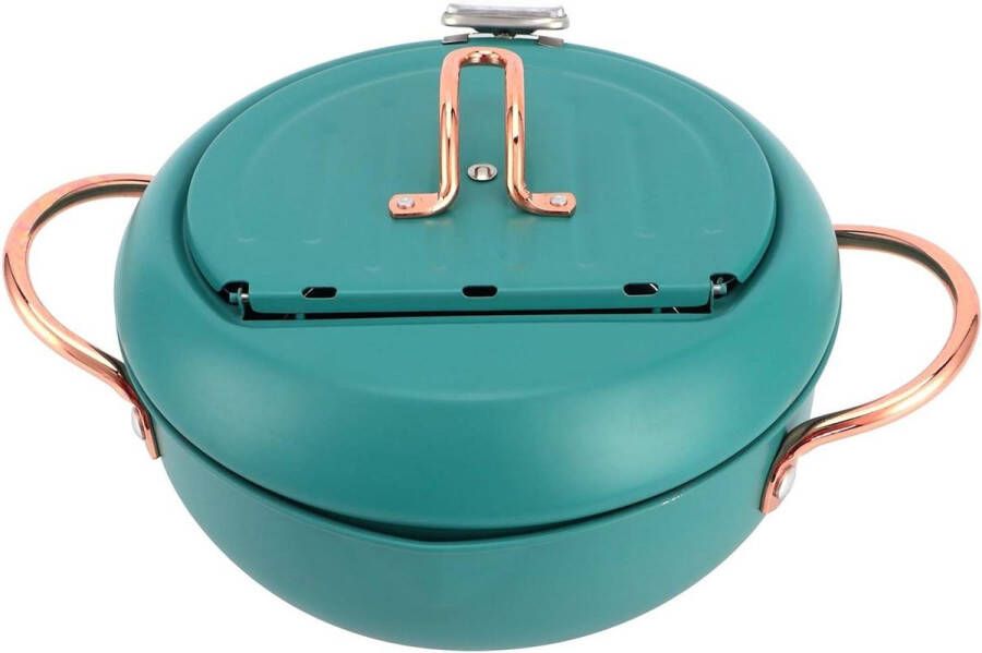 Frituurpan 304 Roestvrij Staal met Temperatuurregeling en Deksel Japanse Stijl Frituurpan Thermometer Roestvrijstalen Friteuse Inductiekookplaat Diepgroen