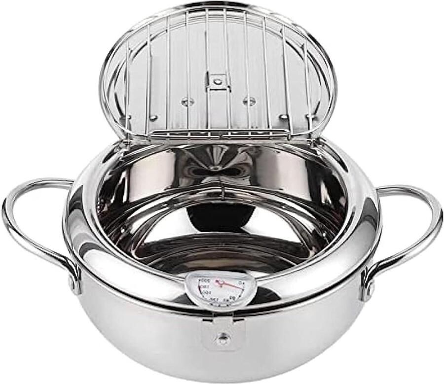 Frituurpan Friteuse Thuis Frituren Met Thermometer Mini Zilver