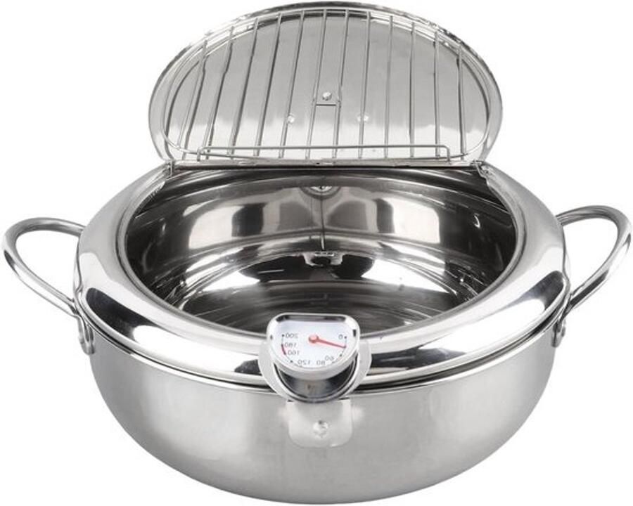 Frituurpan met Thermometer Mini Friteuse Thuis Frituren Professionele Temperatuurcontrole 24 cm Zilver