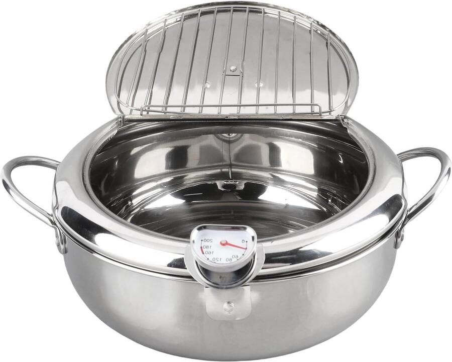 Frituurpan met Thermometer Mini Friteuse Thuis Frituren Professionele Temperatuurcontrole 24 cm Zilver