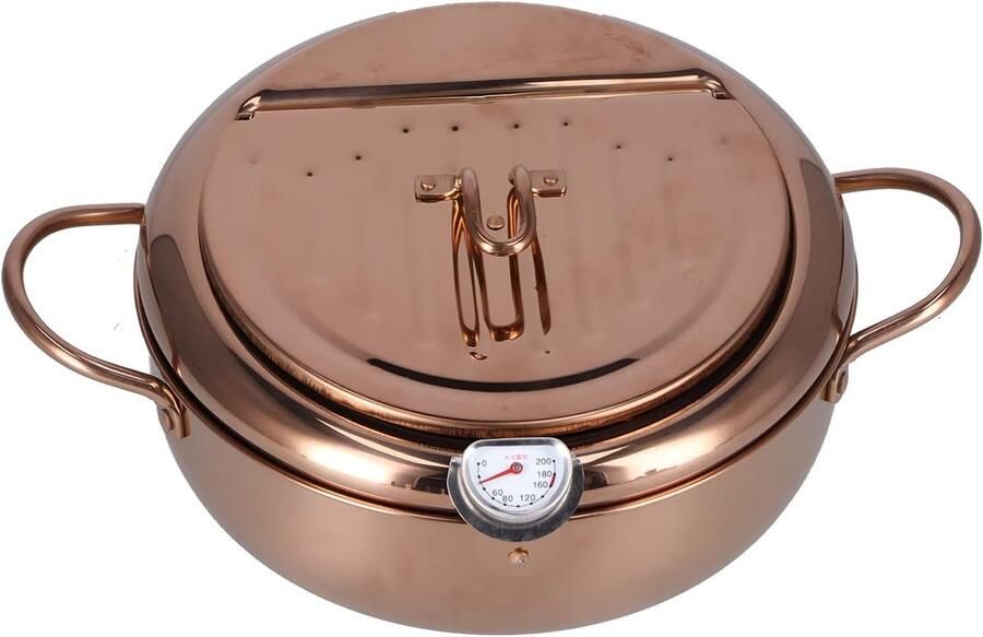 Frituurpan Roestvrijstaal Friteuse Keuken Thuis Frituren Met Oliethermometer 34 Liter Capaciteit Zilver