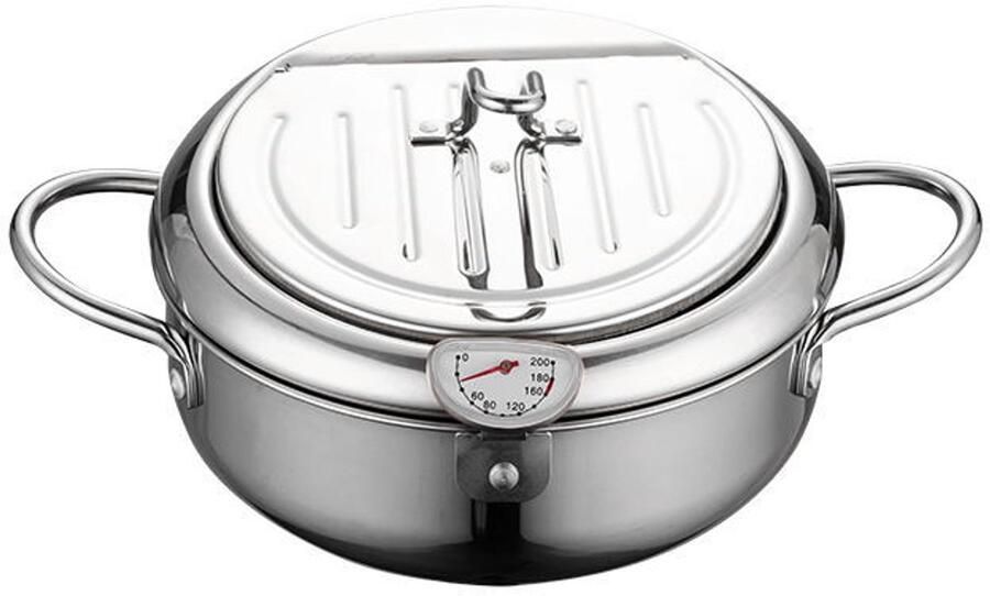 Frituurpannen Friteuse 2.2 Liter Met Thermometer olieafvoer en zeef Diameter 21cm RVS Kleine Frituur Pan Mini Friteuse Frituurpan Huisraad Friteuse Franse frietjes Makkelijk schoon te maken Geschikt Voor Gas en Inductie