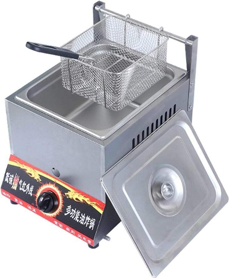 Gasfriteuse RVS Friteuse met mand Thuis frituren Verstelbare vuurkracht 11L of 22L Zilver