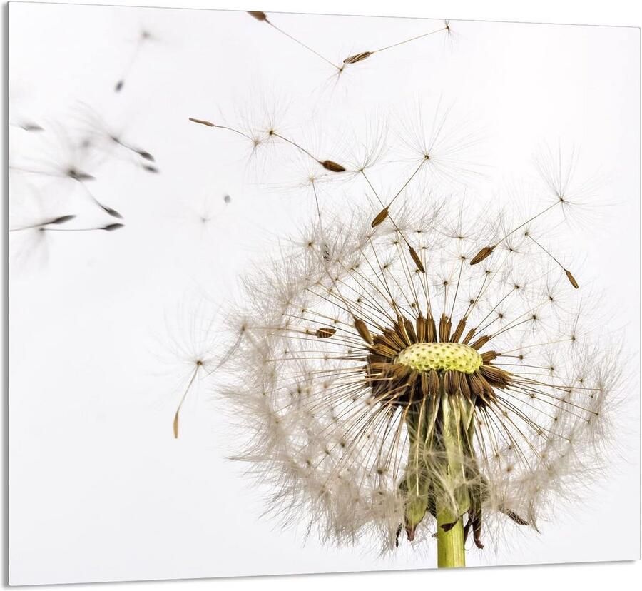 Gehard glazen keukenachterwand Spatbescherming 65x60 cm Decoratieve Glasplaat voor Kookplaat