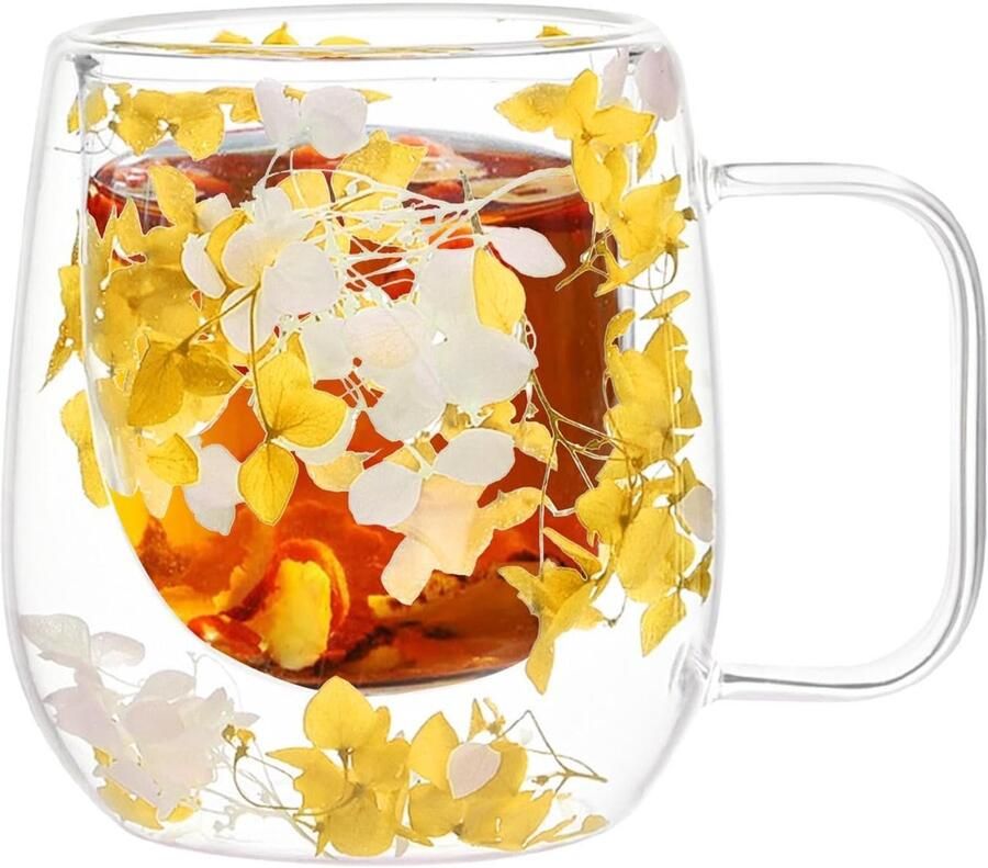 Geïsoleerde Glazen Mokken Geïsoleerde Koffiekop