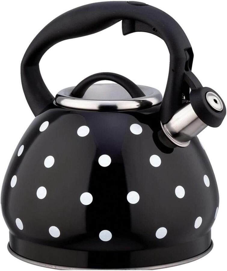Gekleurde Waterketel Theepot met fluit Water Koken Roestvrij staal 3 Liter Zwart