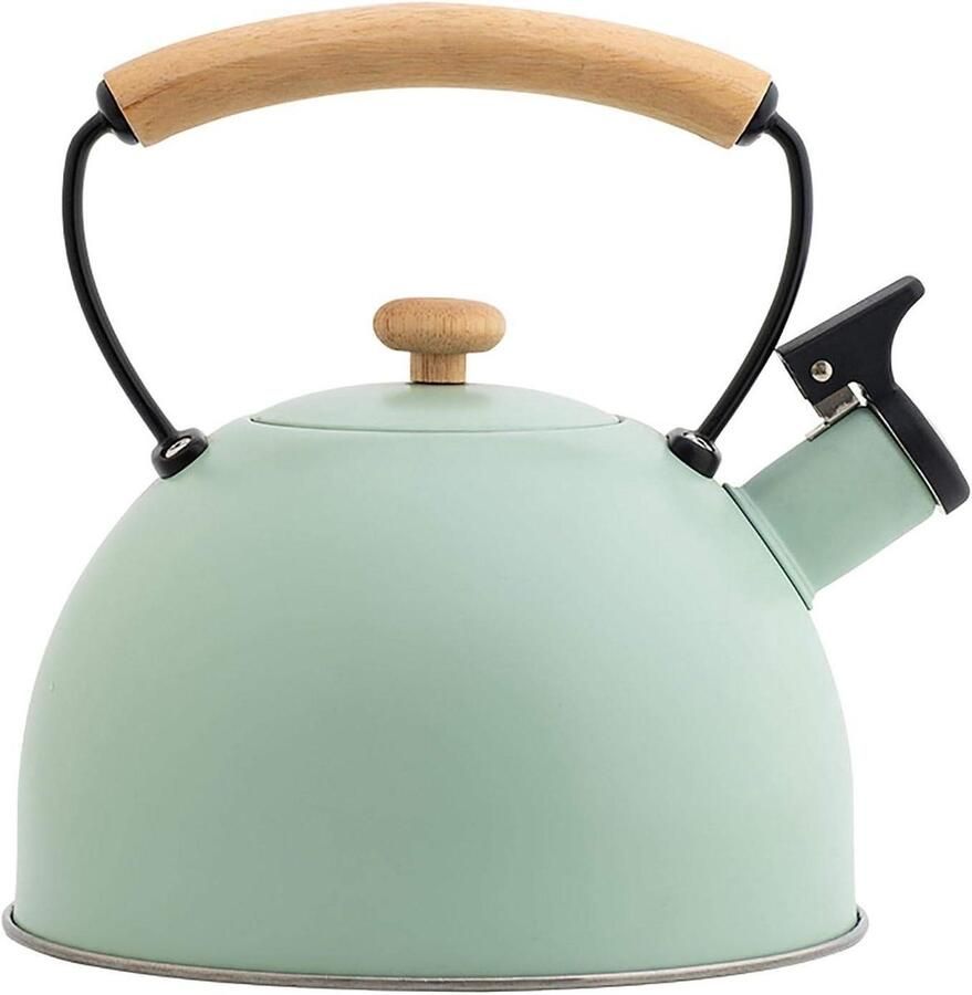 Gekleurde Waterkoker Fluitketel Roestvrij Staal Water Koken Hittebestendige Handgreep 3 liter Groen