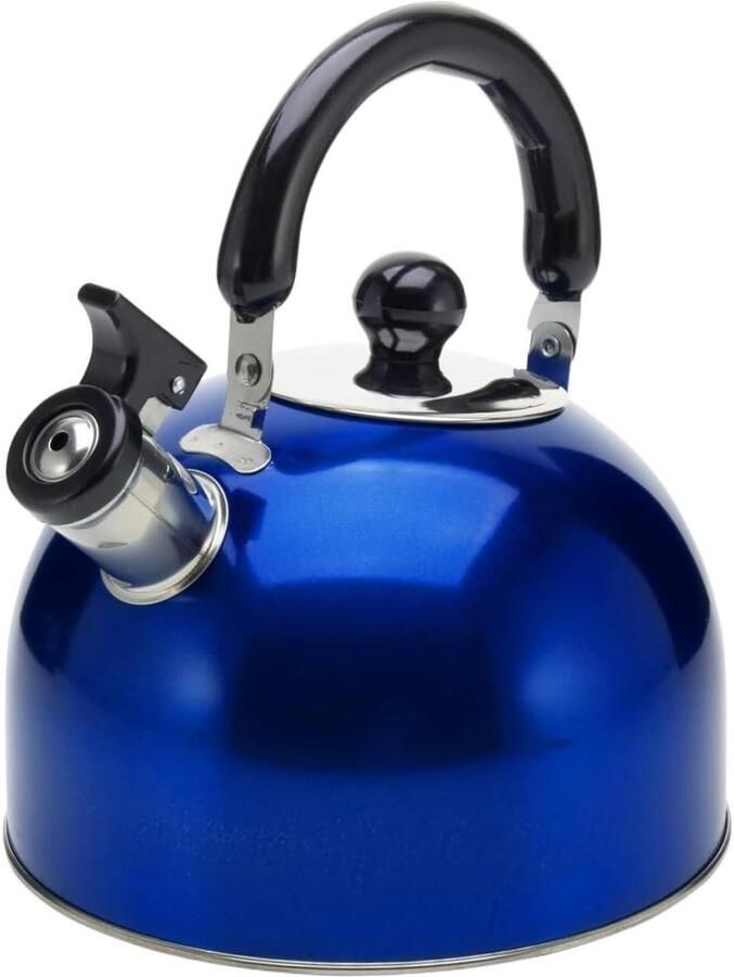 Geklokte Waterketel Theepot RVS Water Koken Verdikte Bodem 3 Liter Blauw
