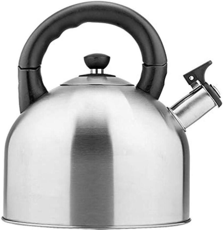 Geklokte Waterkoker RVS Fluitketel Water Koken Verdikt Roestvrij Staal 4.4 L Capaciteit Zilver