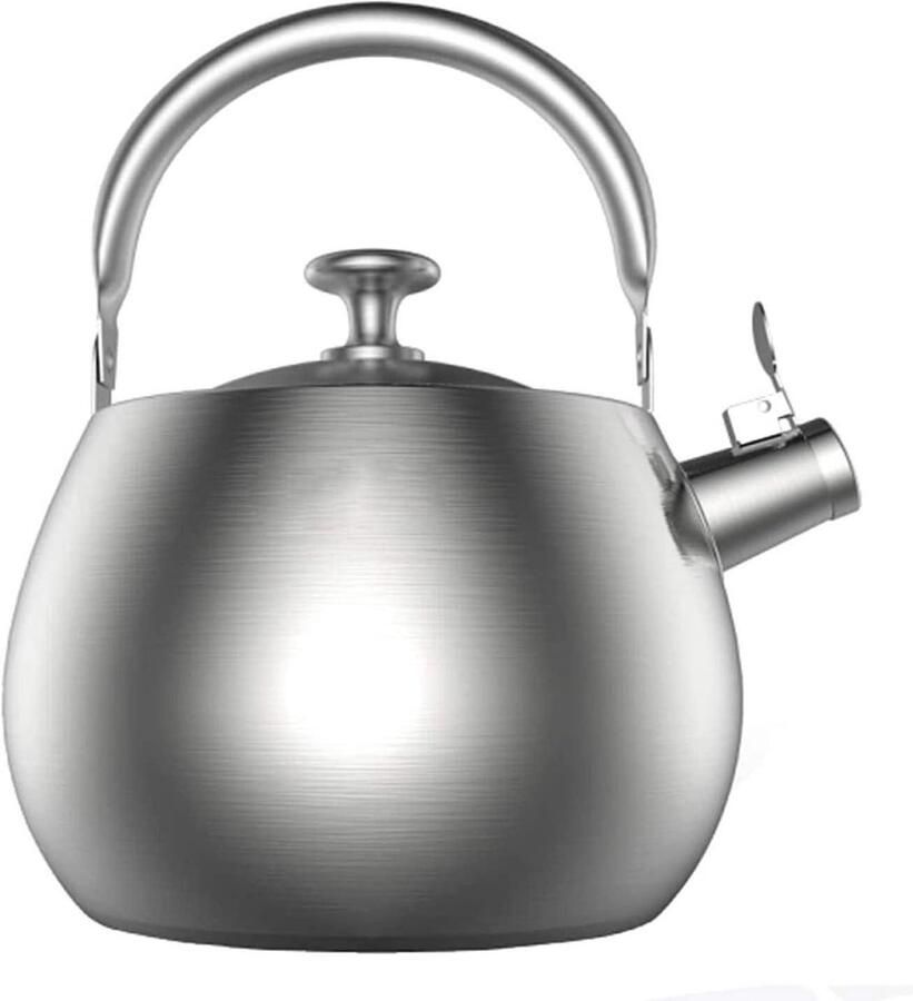 Geklokte Waterkoker Theepot Kookpan Water Koken Automatisch Fluitende Pijp 3.5L Zilver
