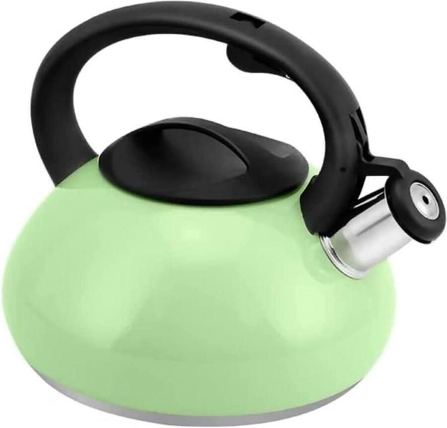 Fluitketel RVS Waterkoker Keuken Koffie en Thee Snelle Verwarming 2.5 Liter Groen