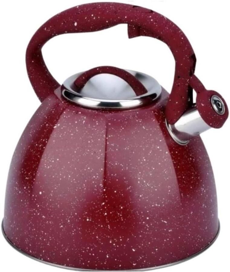 Grote Waterkoker Theepot RVS Koffie en Thee Zetten Fluit bij Kookpunt 3.7 Liter Zilverkleurig