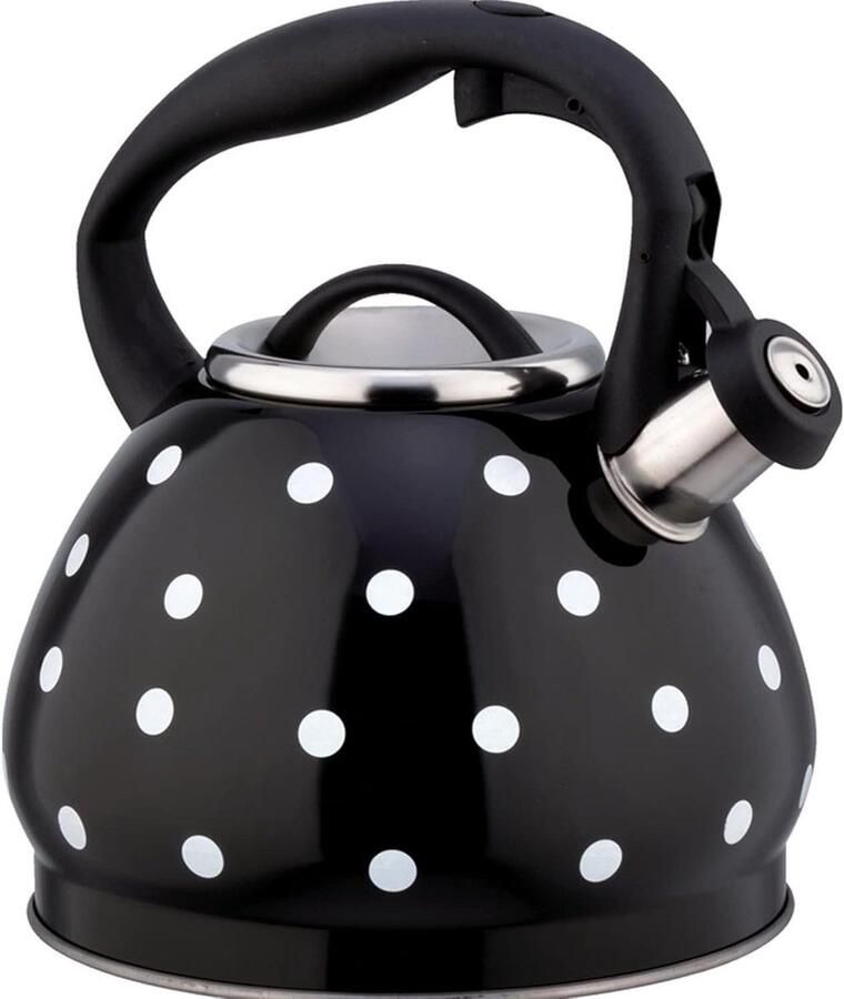Theepot RVS Waterketel Water Koken Melodieus Fluitje 32 Liter Zwart