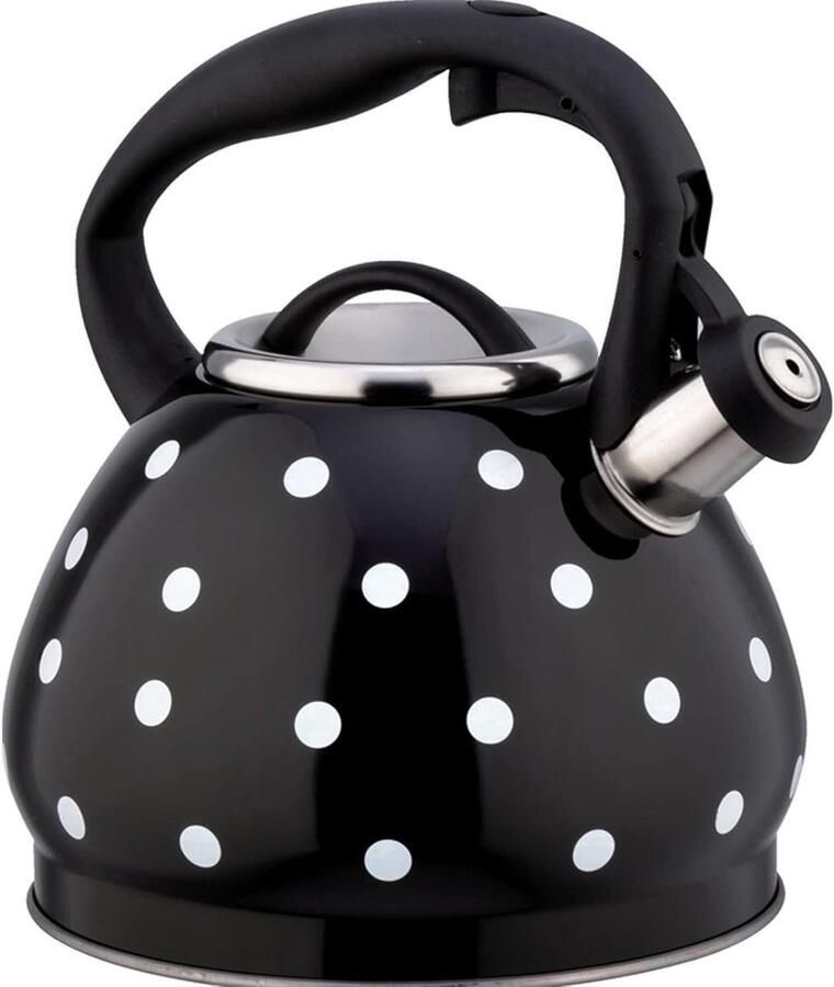 Gekookte Waterketel Waterkoker RVS Koffie en Thee Luid Fluitend 3 Liter Zwart
