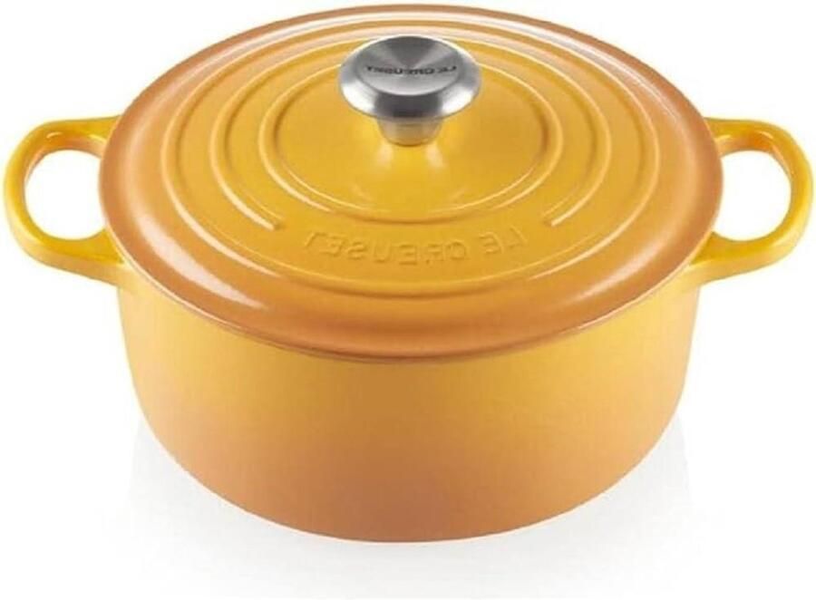 Gietijzeren Braadpan Casserole Schaal Eenpansmaaltijden Koken Gelijkmatige Warmteverdeling 24 cm Nectar