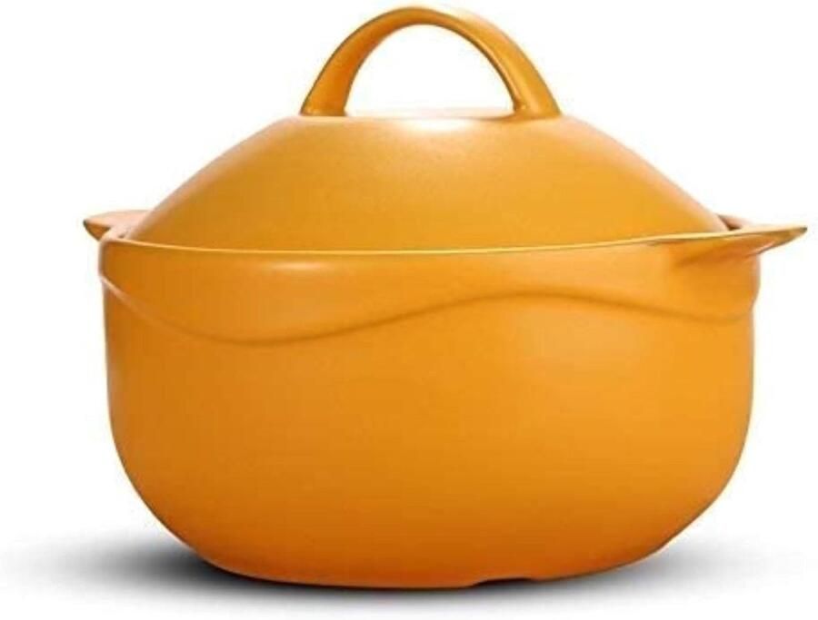 Gietijzeren Braadpan Kookpot met Deksel Langzaam Koken Gelijkmatige Verwarming Niet Gespecificeerd Geel