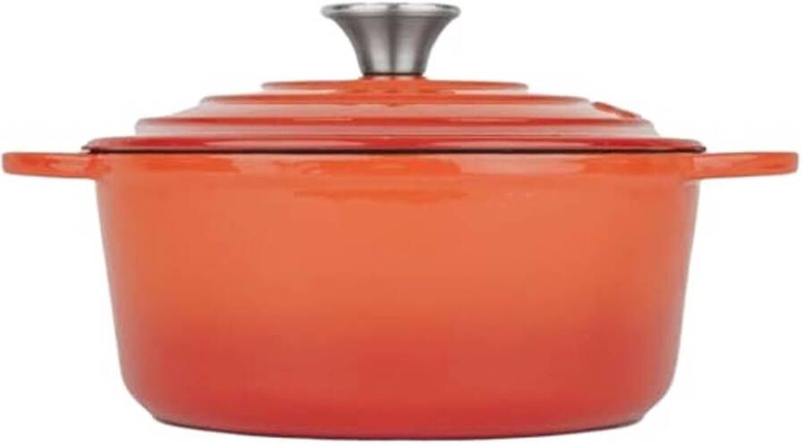 Gietijzeren Cocotte 22 cm Geëmailleerd Ronde Pan Geschikt voor Alle Warmtebronnen