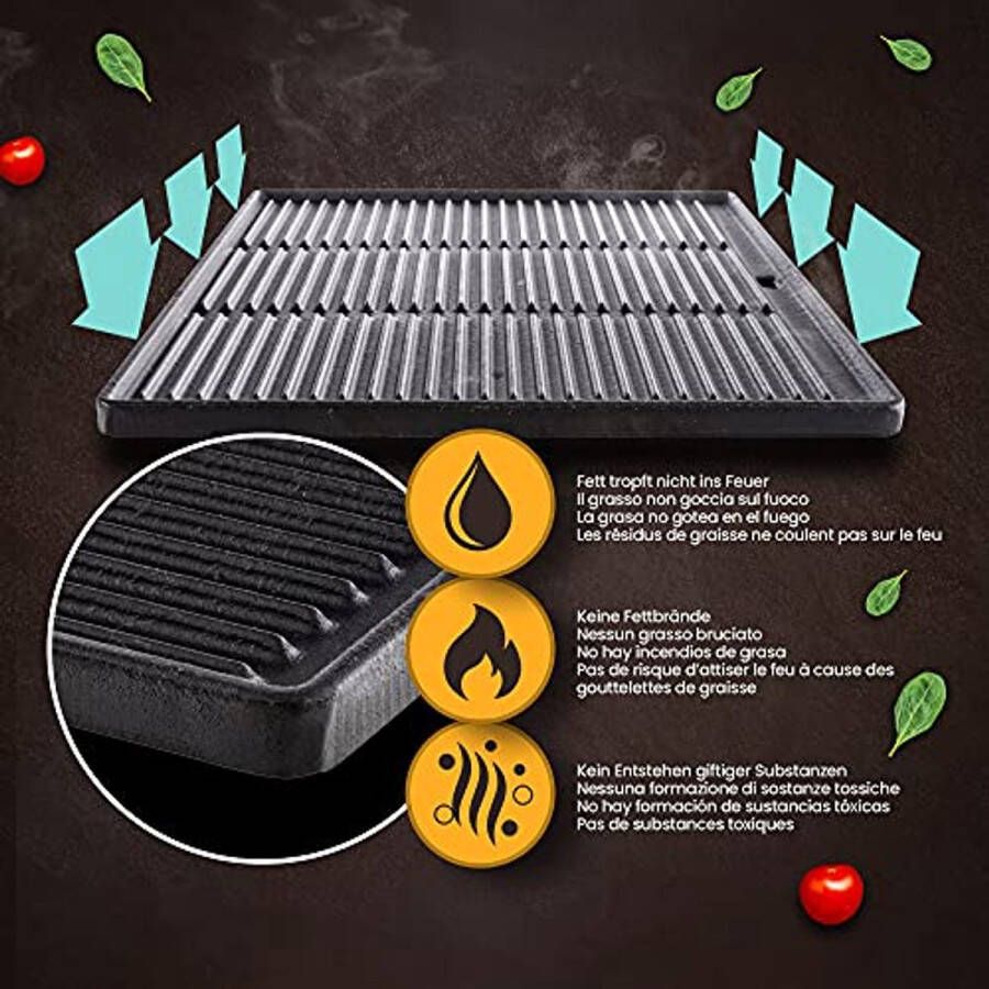 Gietijzeren Grillplaat voor Gas Houtskool en Elektrische Barbecues 45.5 x 35 cm