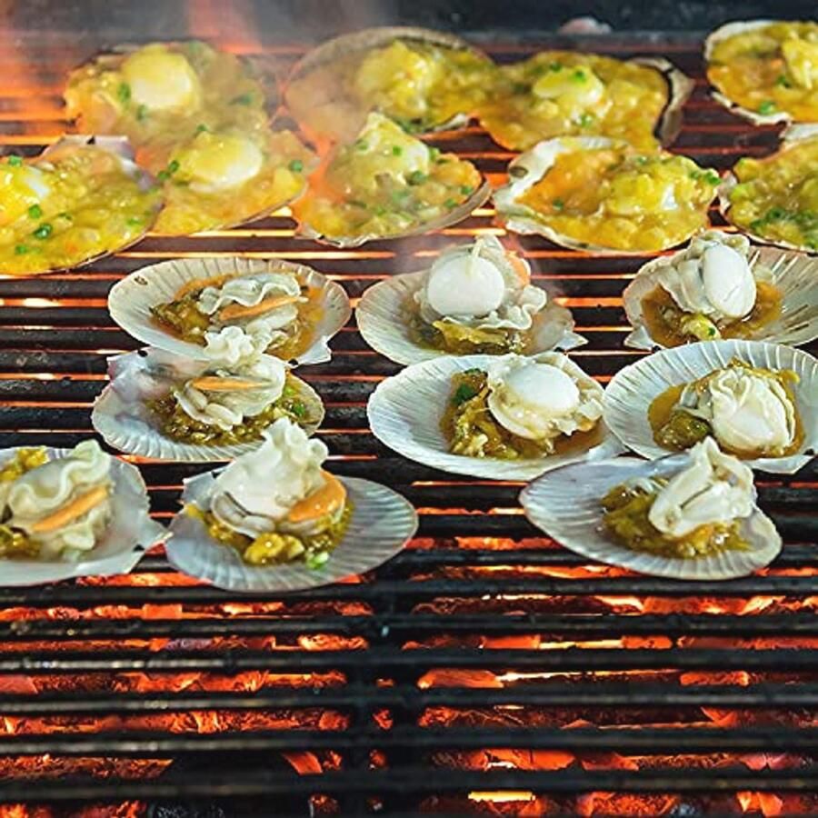 Gietijzeren Grillrooster voor BBQ Geëmailleerd Grillplaat voor Houtskool- en Gasgrills (42x28cm)