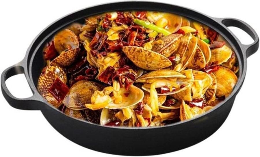 Gietijzeren koekenpan Bak- en grillpan Warmte gelijkmatig verdelen Antiaanbaklaag 22 cm Zwart