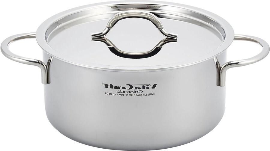 Gietijzeren Pan Kookpan Sauspan Langzaam Koken Gietijzeren Hittebehoud 4.1 Liter 22cm Zilver