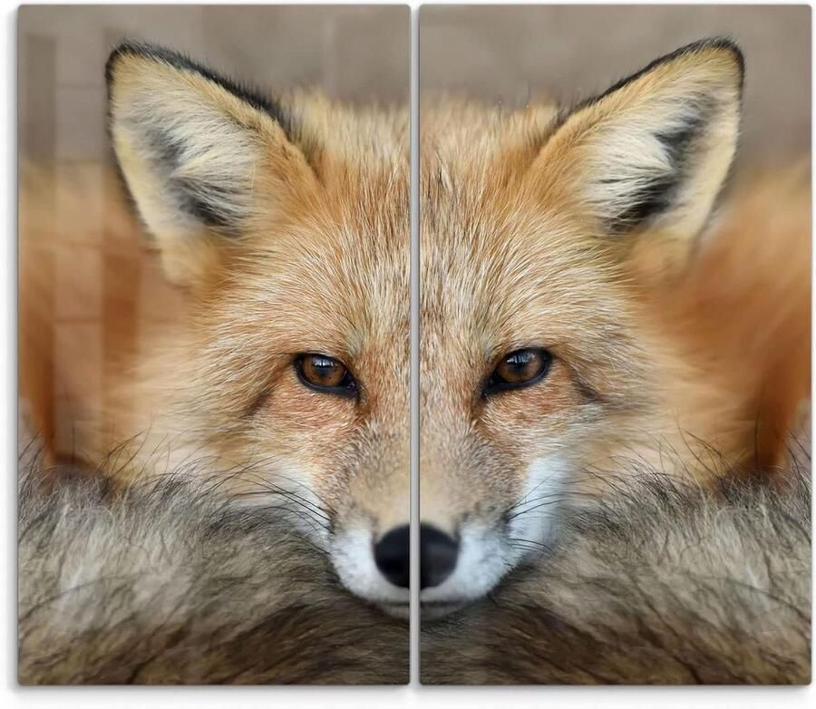 Glas Kookplaat Afdekplaten Werkblad Beschermers Keuken Beschermen 3D Diepte Effect Set van 2 Reineke Vos