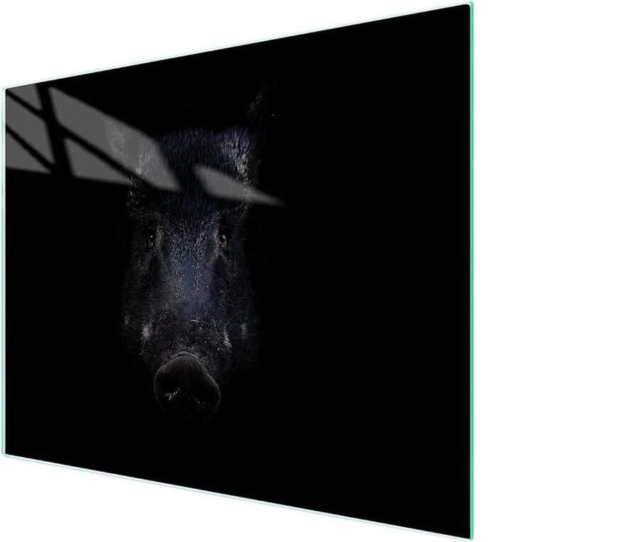 Glasplaat Kookplaat Afdekplaat Werkblad Keuken Beschermen Gehard Glas 52x40 cm Decoratief