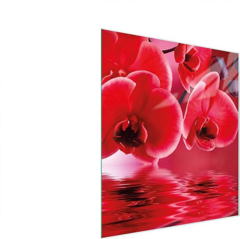 Glazen Afdekplaat Kookplaat 45x52 cm Universeel Spatbeschermer Snijplank en Decoratie voor Keramisch & Inductie