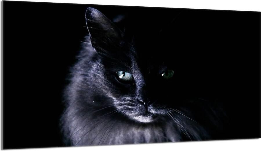 Glazen Afdekplaat Kookplaat 90x52 cm Universele Spatbescherming & Snijplank