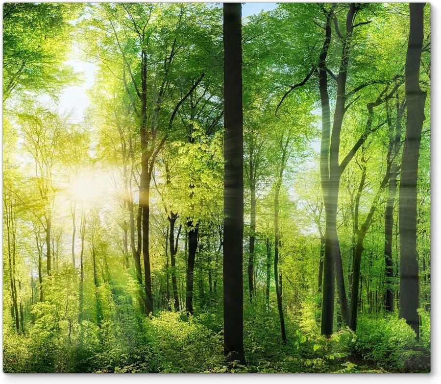 Glazen Afdekplaat Kookplaat Universeel 60x52 cm Hittebestendig & Krasvrij Bos Zon Glasplaat