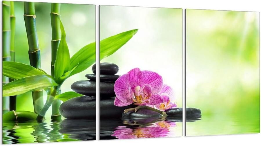 Afdekplaten Kookplaat Glasplaat Set Keuken Beschermen Gehard Glas 30 x 52 cm Orchidee