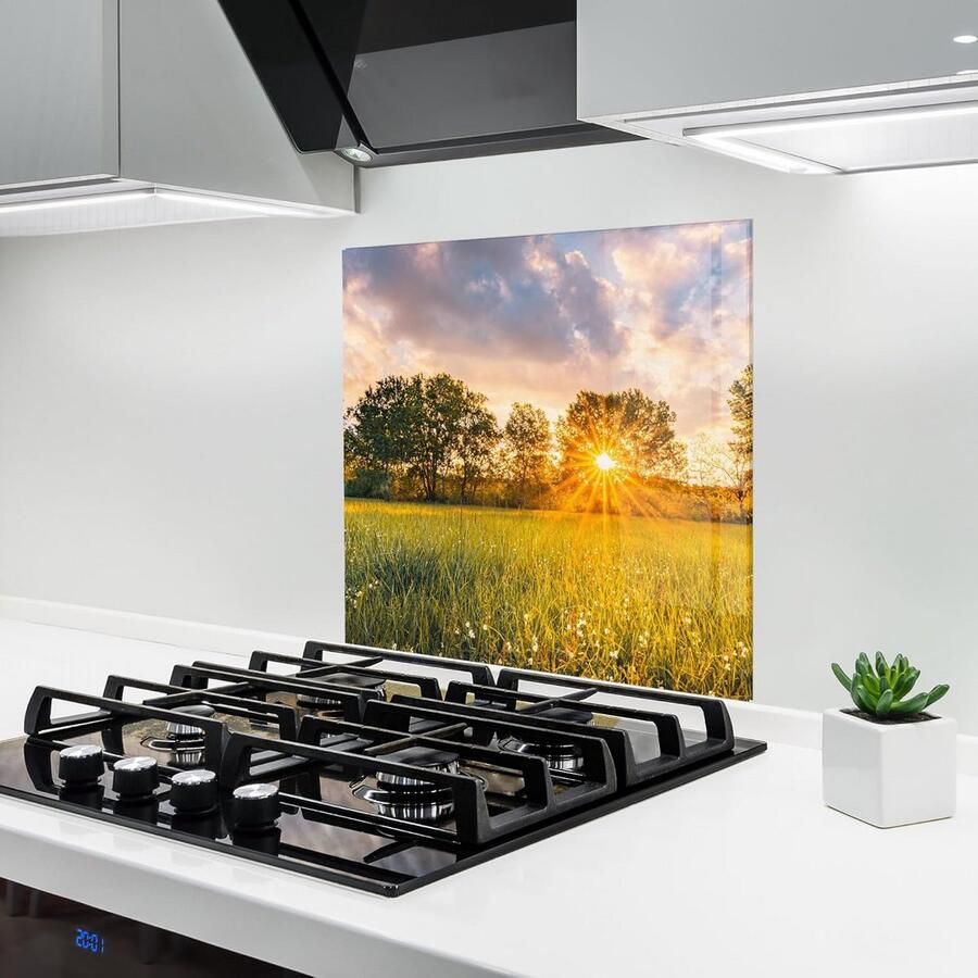 Glazen Keukenachterwand Spatscherm 100x100 cm Gehard Glas voor Achter Fornuis