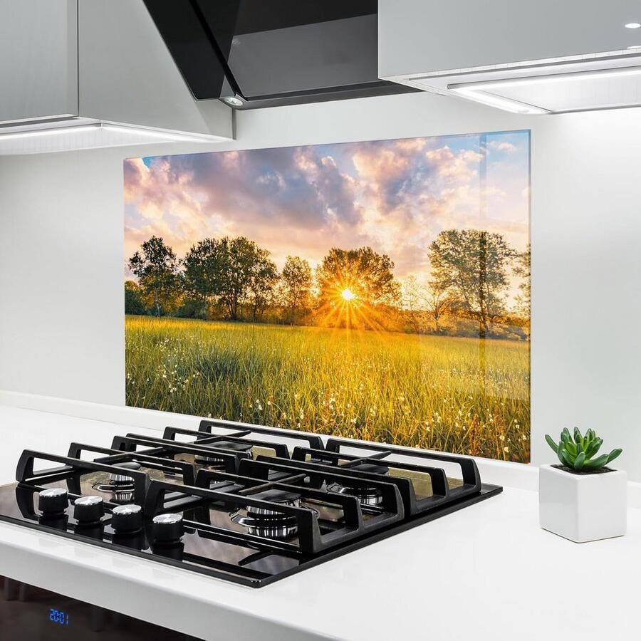 Glazen Keukenachterwand voor Achter Fornuis 60x80 cm 5mm Gehard Glas