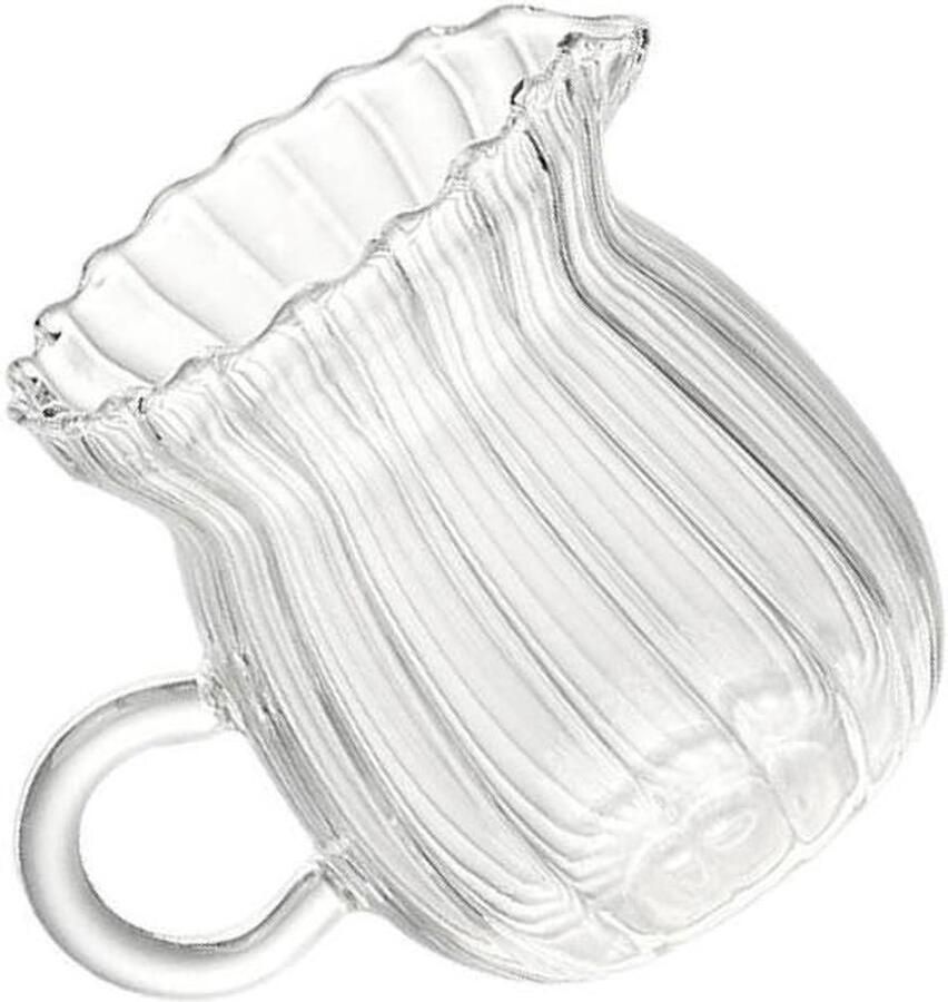 Glazen Koffiekan Koffiezetter Koffie Zetten Hittebestendig Glas 170 ml Transparant