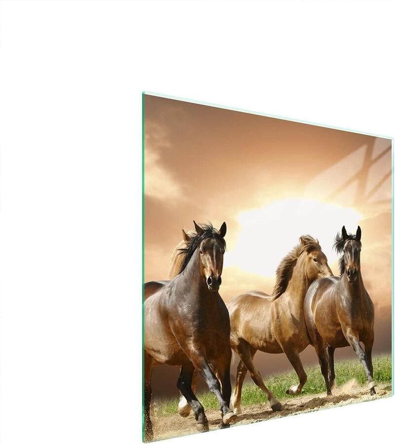 Glazen Kookplaat Afdekplaat 50x52 cm Snijplank Spatscherm & Onderzetter voor Keramisch Inductie