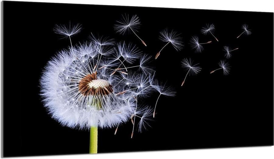Glazen Kookplaat Afdekplaat Bescherming en Spatwand 90x52 cm