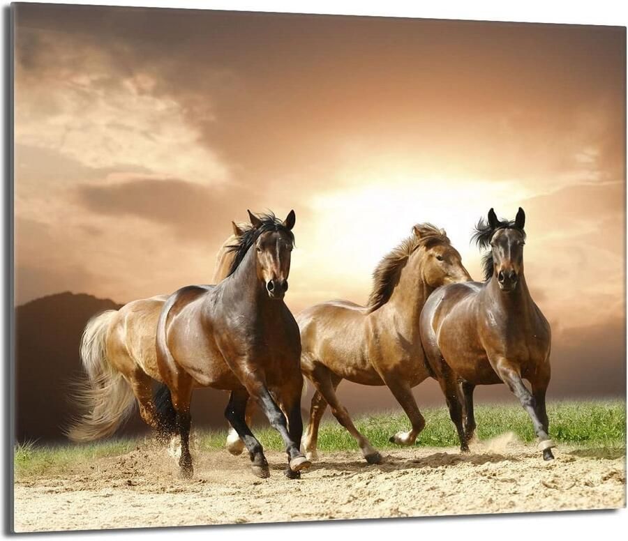 Glazen Kookplaat Afdekplaat Snijplank 60x52 cm Bescherming Spatwand voor Keramische Inductie