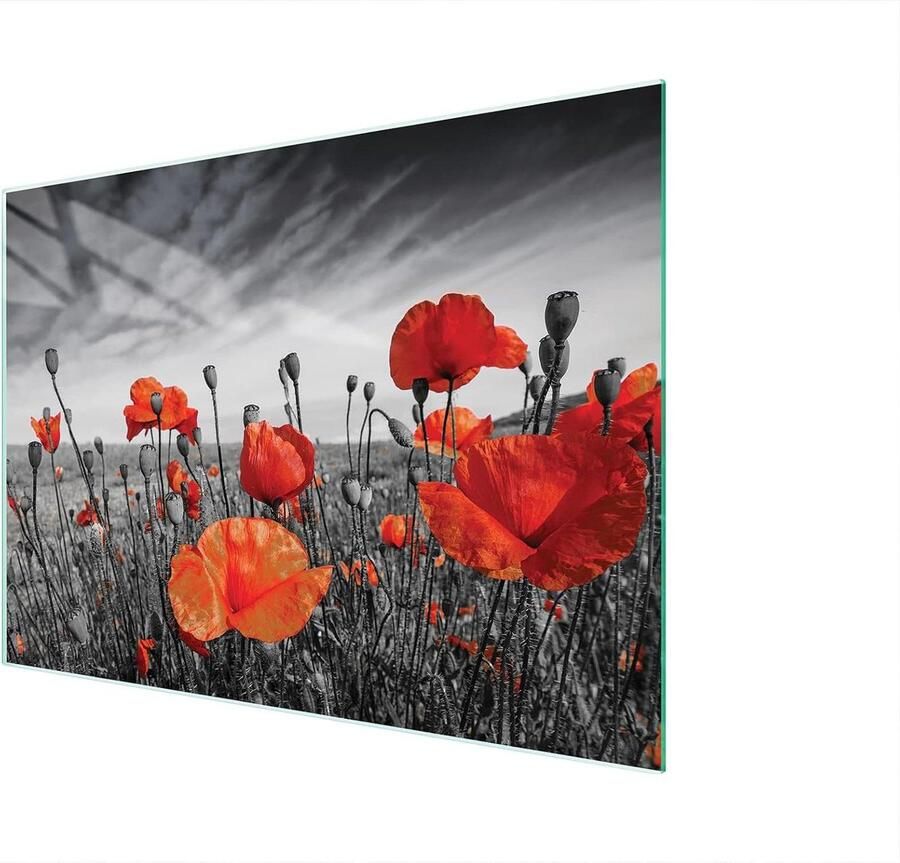 Glazen Kookplaat Afdekplaat Snijplank Glas Keuken Beschermen Gehard Glas 40 x 30 cm Zwart