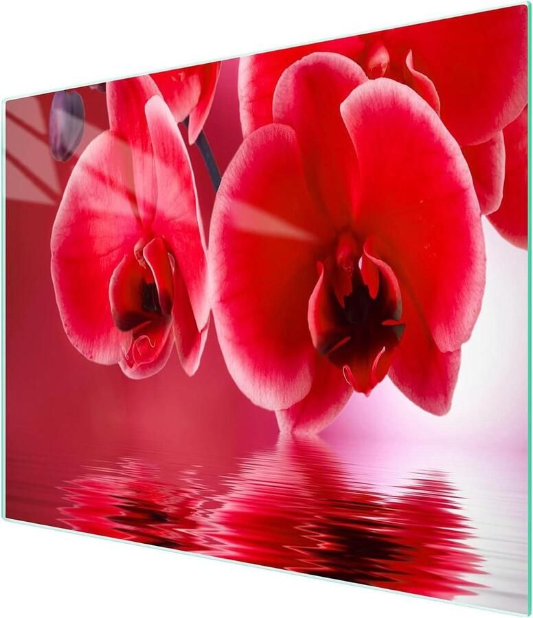 Glazen kookplaat afdekplaat Snijplank inductie spatbescherming Keukenbescherming extra werkblad Gehard krasbestendig hygiënisch 52 x 30 cm