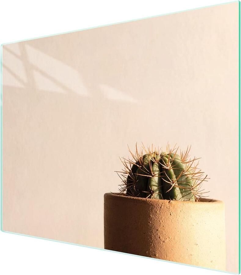 Glazen Kookplaat Afdekplaat Snijplank Werkbladbeschermer Keuken Beschermen Gehard Krasbestendig Glas 52 x 40 cm Beige Cactus