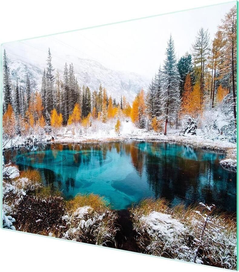 Glazen Kookplaat Afdekplaat Snijplank Werkbladbeschermer Keuken Beschermen Gehard Krasvast Glas 52x40 cm Veelkleurig Decoratief