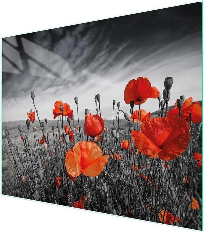 Glazen Kookplaat Afdekplaat Spatbescherming Glasplaat Keuken Beschermen Krasvrij en Hygiënisch 52 x 40 cm Zwart
