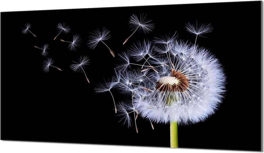 Glazen Kookplaat Afdekplaat Spatbescherming Keuken Extra Werkruimte Creëren 1-delig Gehard Glas 90 x 52 cm Bloemenprint