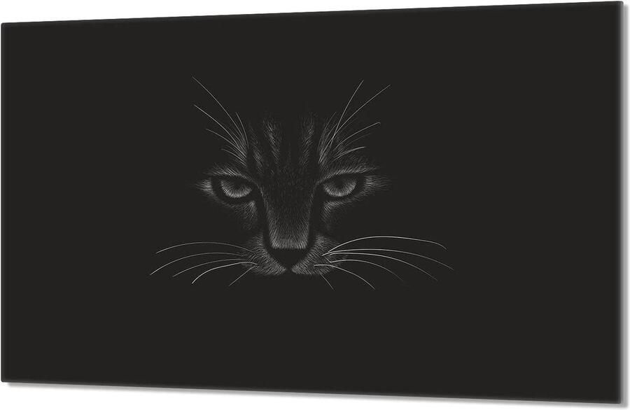 Glazen Kookplaat Afdekplaat Spatbescherming Keuken Koken en Snijden Gehard Glas 80x52 cm Kat Design