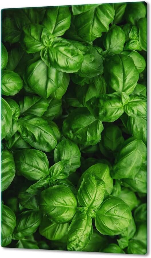 Glazen Kookplaat Afdekplaat Spatbescherming Keuken Kookplaat Beschermen Krasbestendig Gehard Glas 30x52 cm Groen