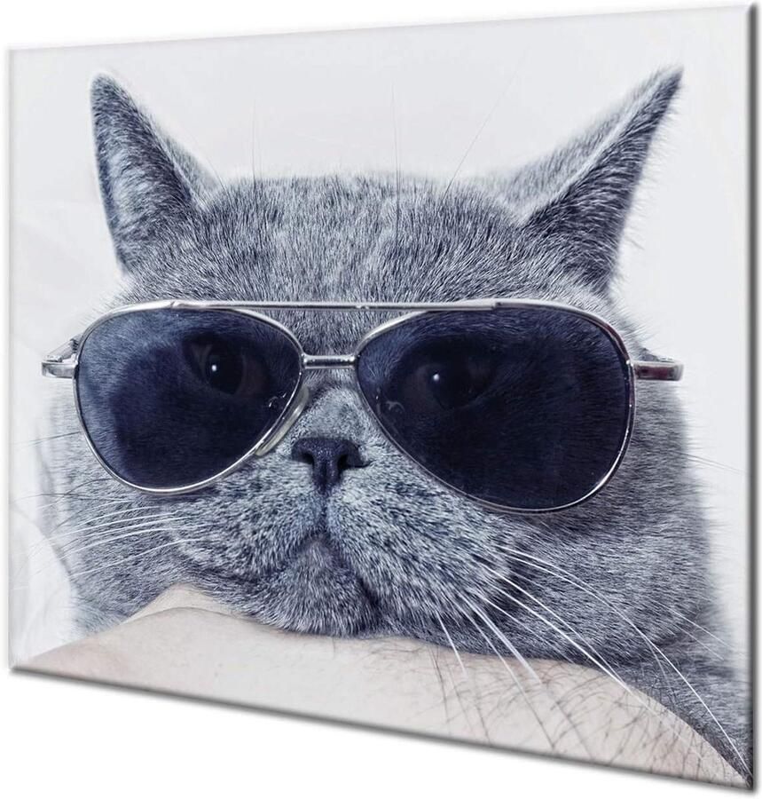 Glazen Kookplaat Protector Snijplank Werkblad Keukenwerk Uitbreiden Slagvast Krasbestendig 60 cm x 52 cm Meerkleurig